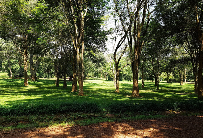 Entrance to Entebbe Botanical Gardens Uganda