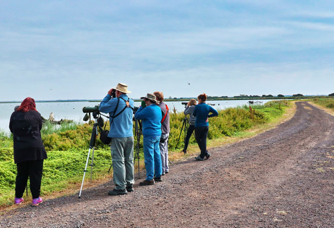 Birdwatchers spotting a Shoebill in Mabamba Swamp