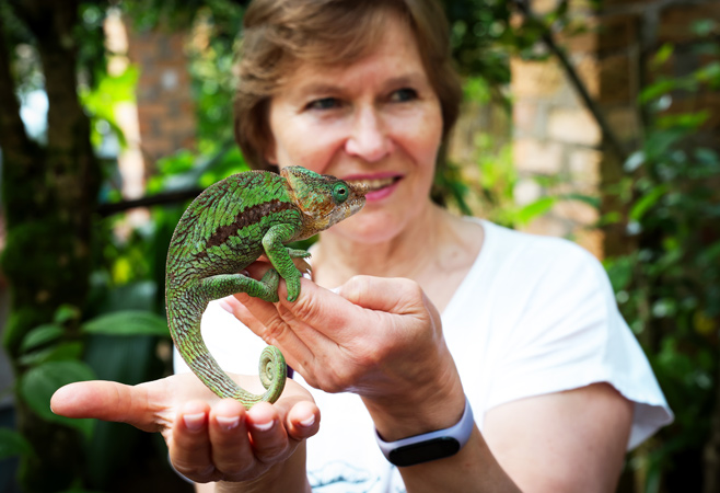 Tour guide with a chameleon at Uganda Reptile Village