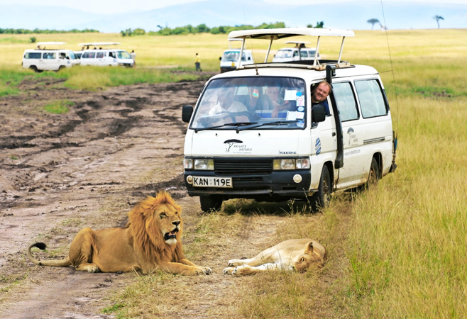 Tourists watching lions at Uganda Wildlife Conservation Education Centre