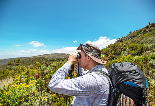 Aerial view of Mabamba Swamp wetlands in Uganda