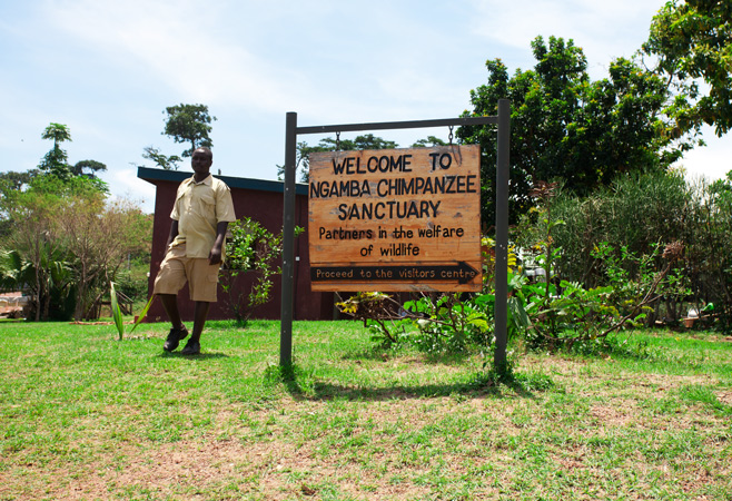 Boat ride to Ngamba Island Chimpanzee Sanctuary Uganda