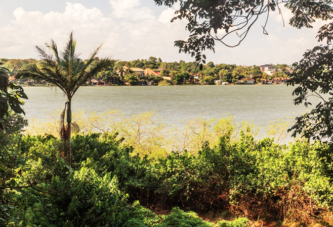 Lake Victoria view from Entebbe Botanical Gardens
