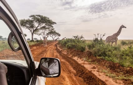 Tanzania to Uganda: Complete Travel Guide for Exploring East Africa