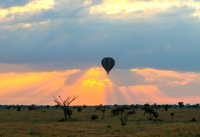 Hot air balloon in Uganda at sunrise Hot air balloon in Uganda at sunrise