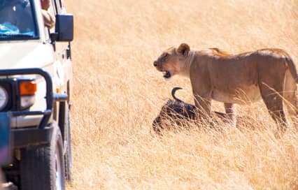 Kenya and Uganda Safari: The Ultimate East African Wildlife Adventure